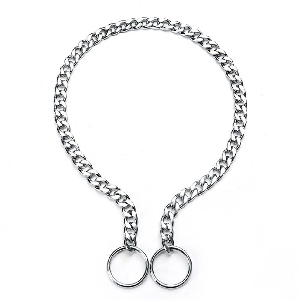 collier pour chien étrangleur de couleur métal. Image produit Boutiquechien