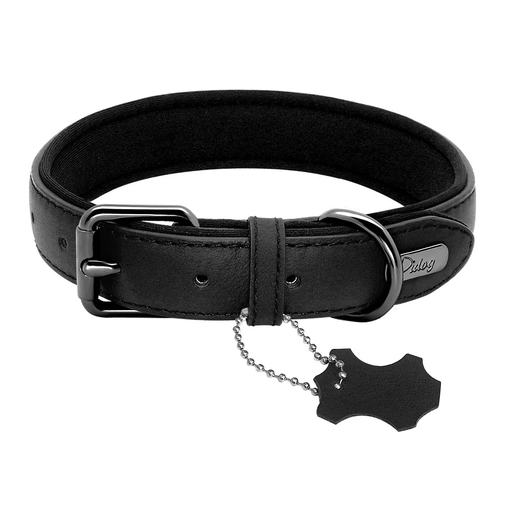 collier cuir chien noir de Boutiquechien résistant