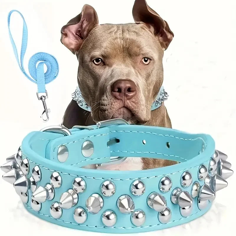 collier à pique bleu turquoise avec laisse assortie. Image produit Boutiquechien