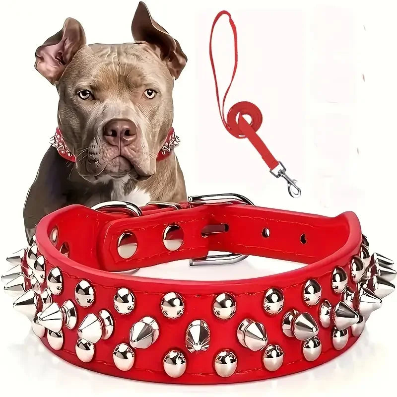 collier à pique rouge avec laisse de couleur rouge. Image produit Boutiquechien