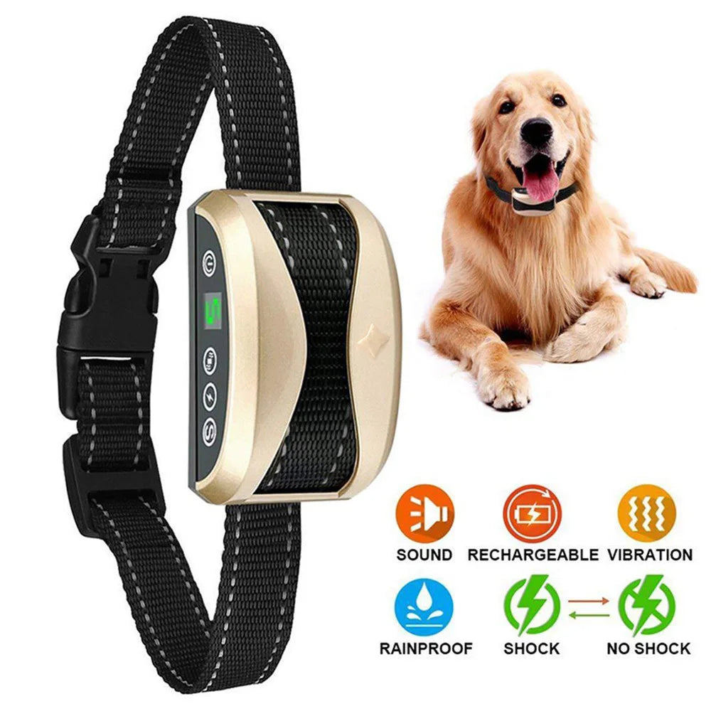 collier pour chien anti-aboiement avec en image un golden retriever qui porte le collier. Image produit Boutiquechien