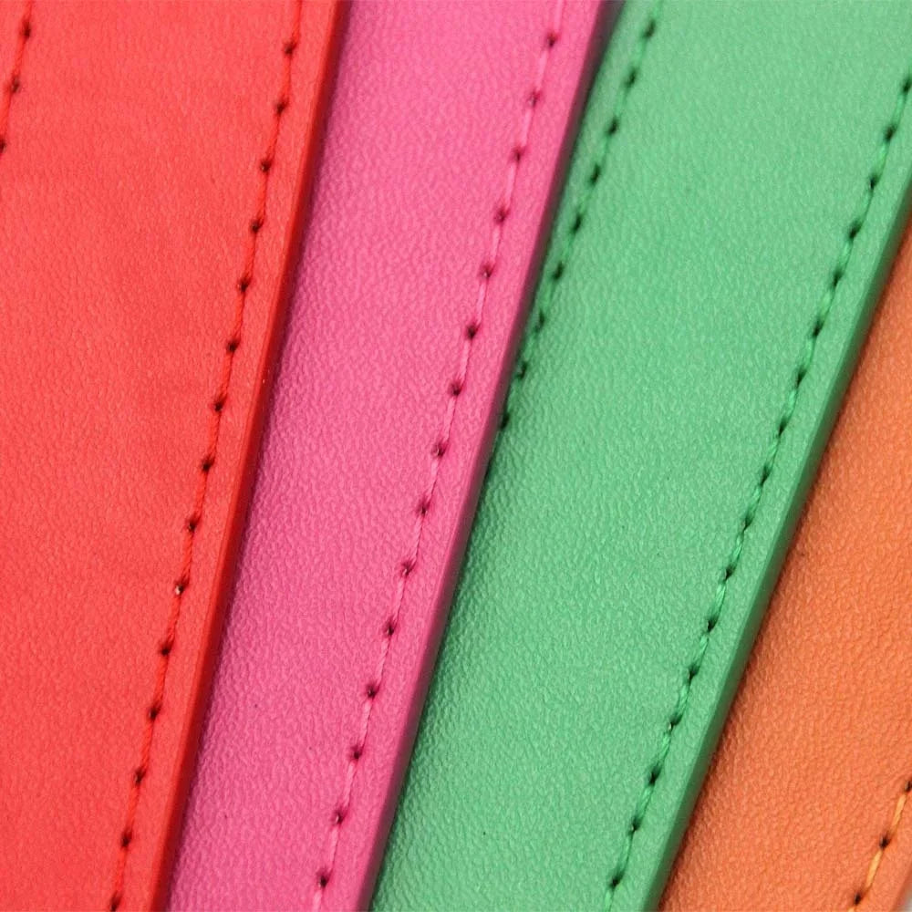 Collier chien style cuir de couleur orange, vert, rose et rouge aligné. Image produit Boutiquechien