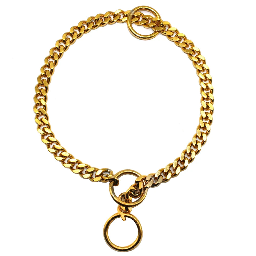 Collier chien étrangleur style or. Image produit Boutiquechien