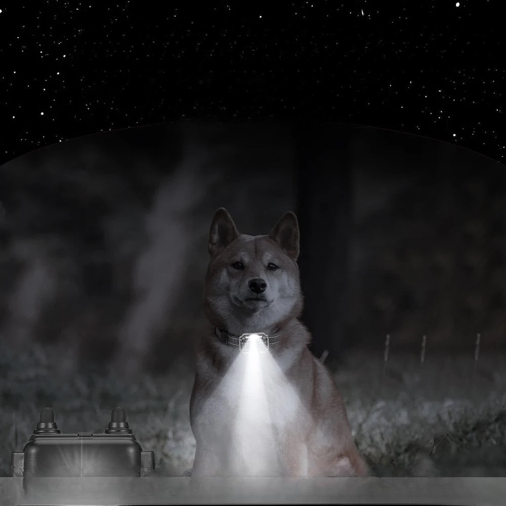 Collier chien éducatif avec lampe pour voir la nuit. Image produit Boutiquechien