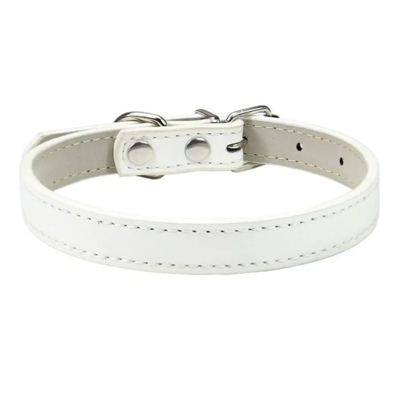 Collier chiot de couleur blanc pour petit chien. Image produit Boutiquechien