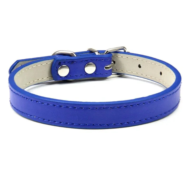 Collier chiot de couleur bleu foncé pour petit chien. Image produit Boutiquechien