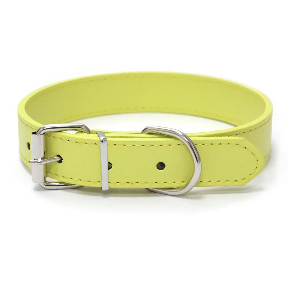 collier pour chiot de couleur jaune de Boutiquechien