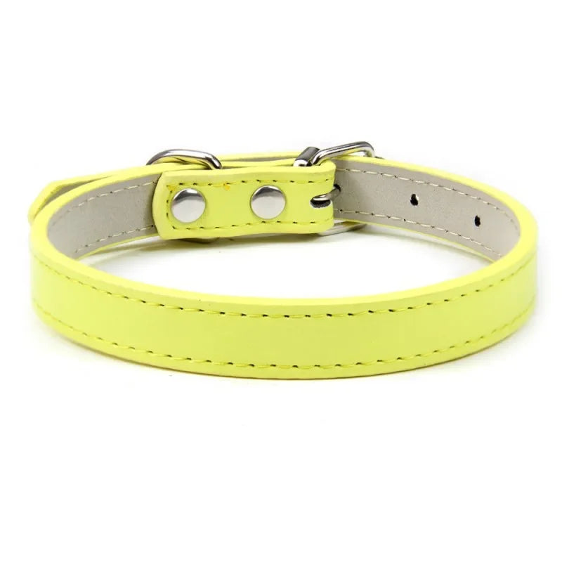 Collier chiot de couleur jaune pour petit chien. Image produit Boutiquechien