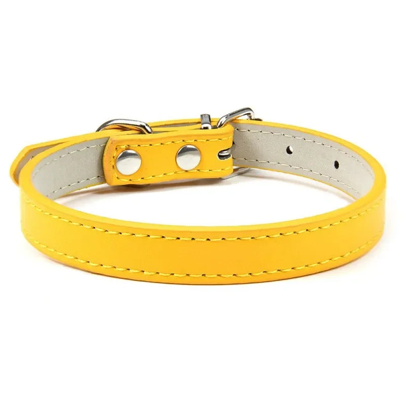 Collier chiot de couleur jaune pour petit chien. Image produit Boutiquechien
