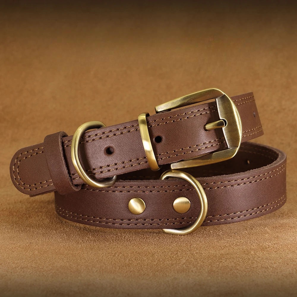 Collier chien en cuir de couleur brun posé dans un fond velours brun. Image produit Boutiquechien