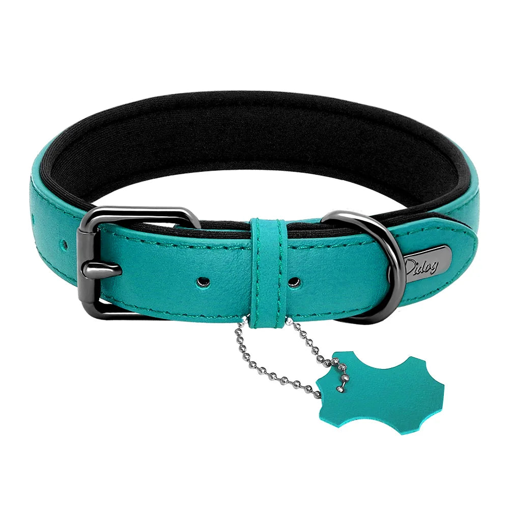 Collier chien de couleur turquoise résistant pour chien. Image produit Boutiquechien