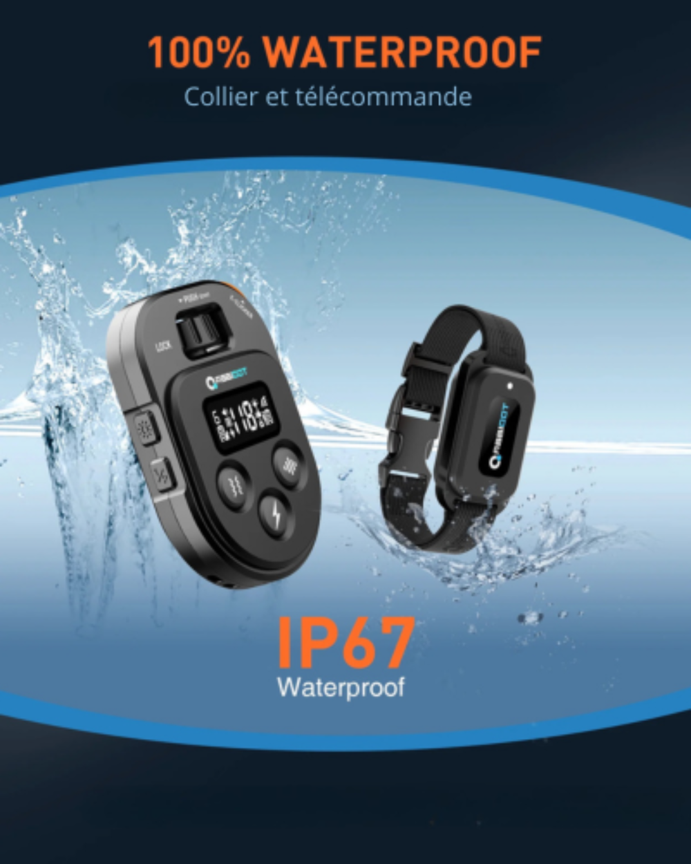 Collier chien de couleur noir ip 67