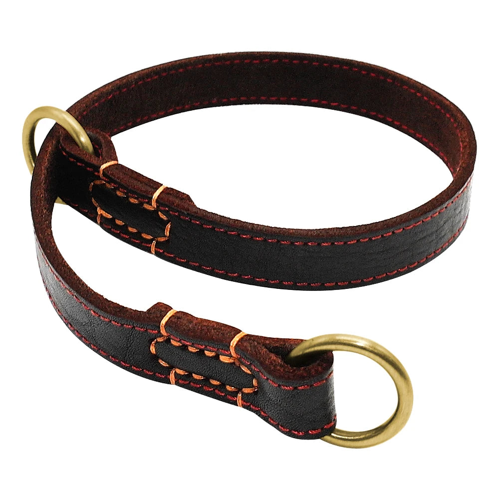 collier étrangleur pour chien brun avec boucle style or pour chien. image produit boutiquechien