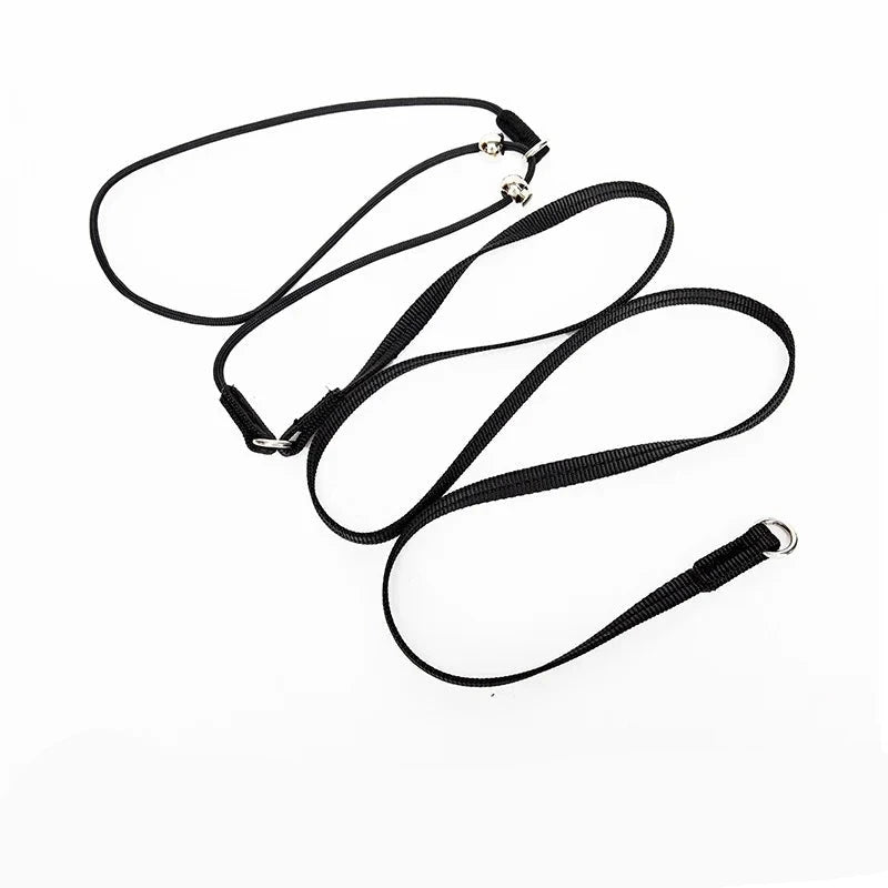 collier étrangleur de couleur noir possède une mini laisse pour maintenir votre chien. Image produit boutiquechien