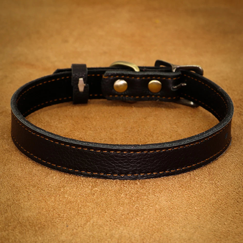 collier cuir pour chien noir pour petit chien. Image produit Boutiquechien