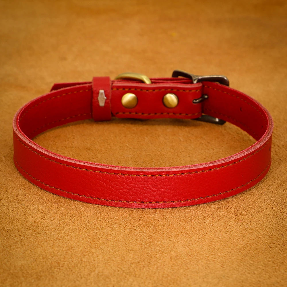 collier cuir pour chien rouge pour petit chien. Image produit Boutiquechien