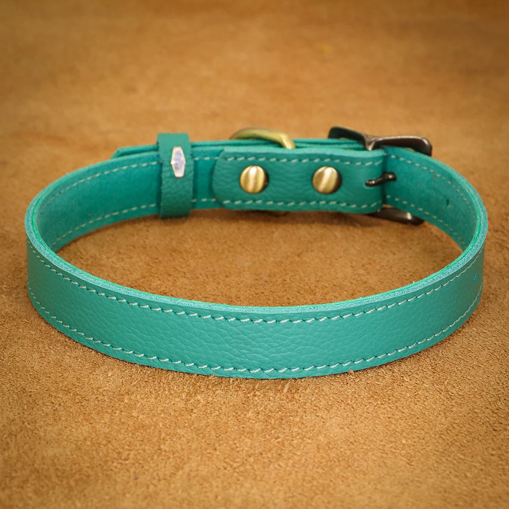collier cuir pour chien bleu pour petit chien. Image produit Boutiquechien