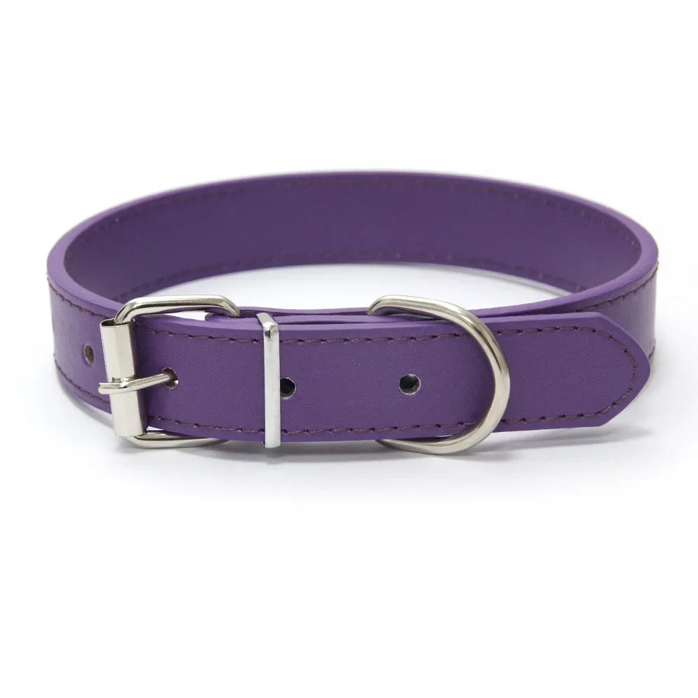 Collier pour petit chien de style cuir violet parfait pour les chiots et petits chien. Image produit Boutiquechien