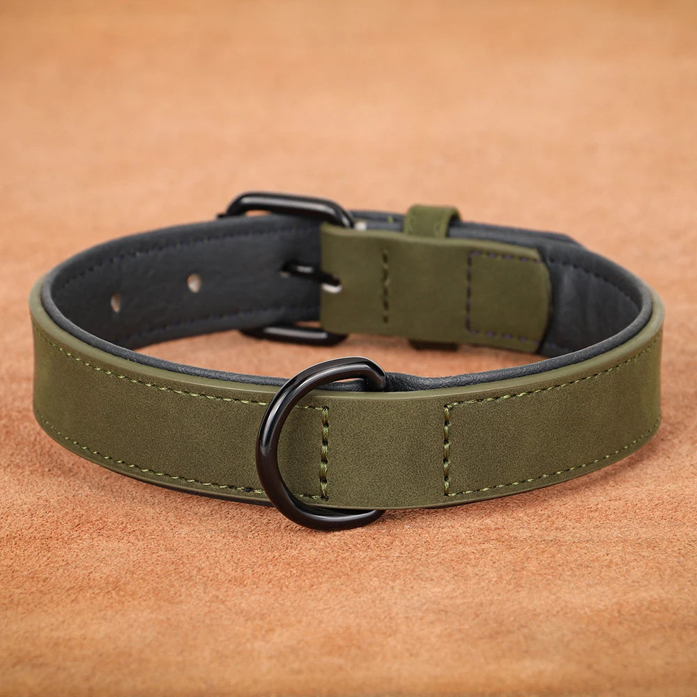 collier pour chien style cuir de couleur vert foncé. Image produit Boutiquechien