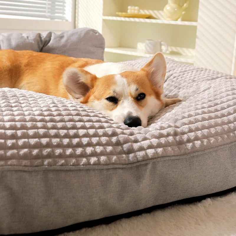 Corgi brun et blanc couché sur un tapis chien doux et moelleux dans une salon de couleur claire Le chien à les yeux ouvert et il est bien maintenu sur son tapis rembourré. Image produit Boutiquechien