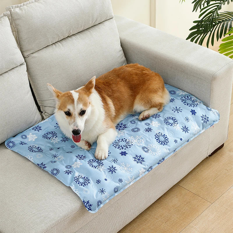 Le chien est de couleur brun et blanc et il est couché sur un tapis pour chien bleu rafraîchissant. Image produit Boutiquechien