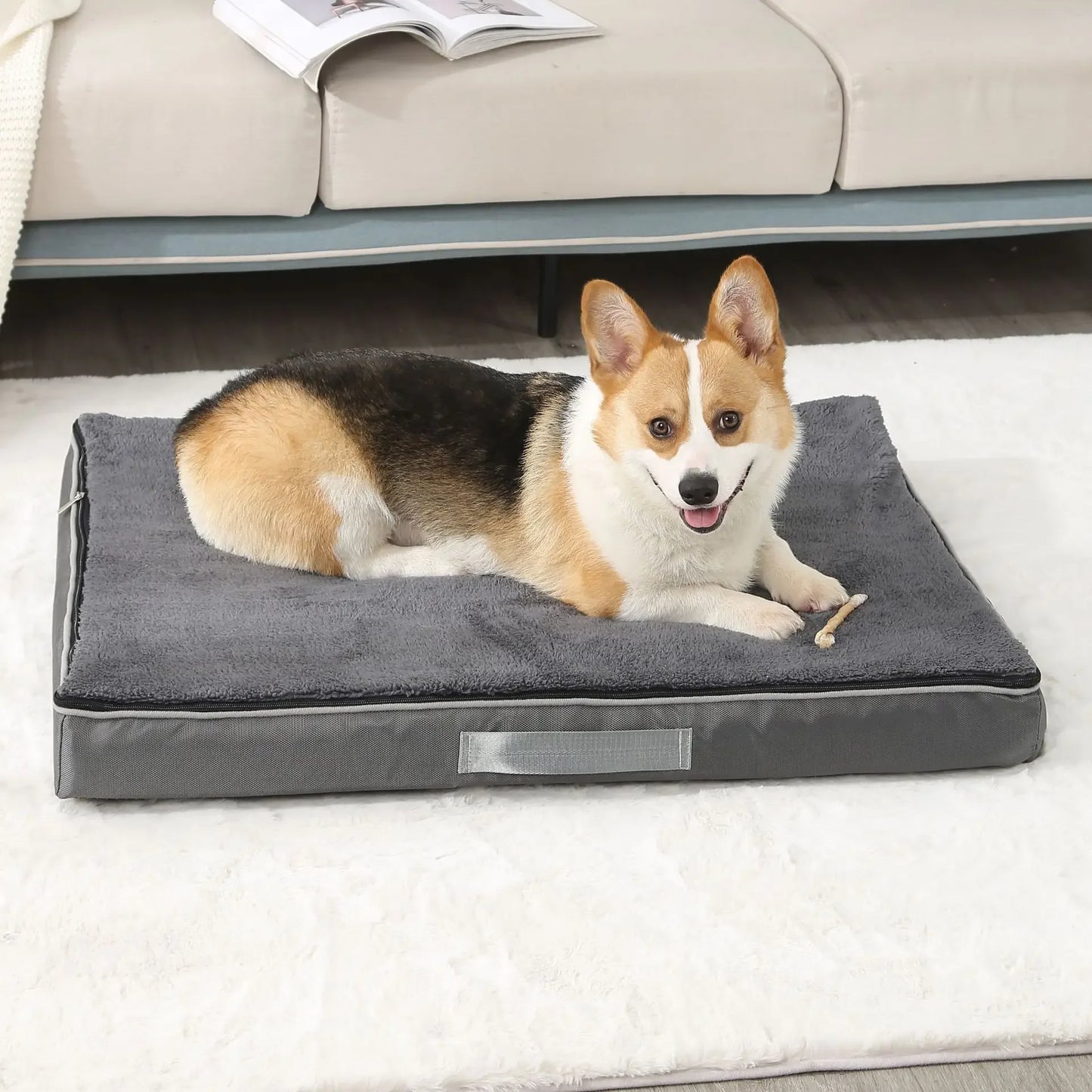 Corgi de couleurs brun, blanc et noir couché sur un tapis de couleur noir. Le chien est couché devant un canapé de couleur claire sur un tapis blanc. Image produit Boutiquechien