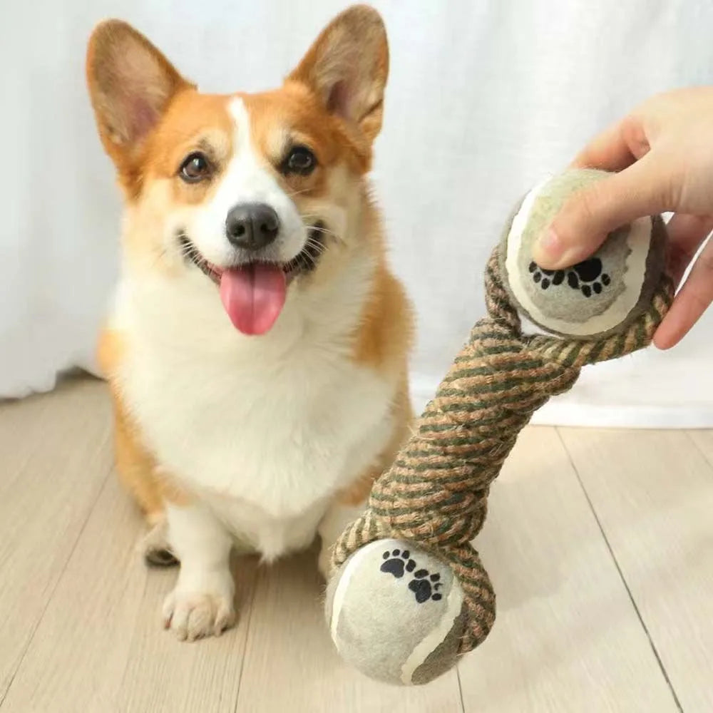 os en corde résistant pour chien avec des balles de chaque côté de l'os. Le chien est assis devant le jouet chien résistant. Image produit Boutiquechien