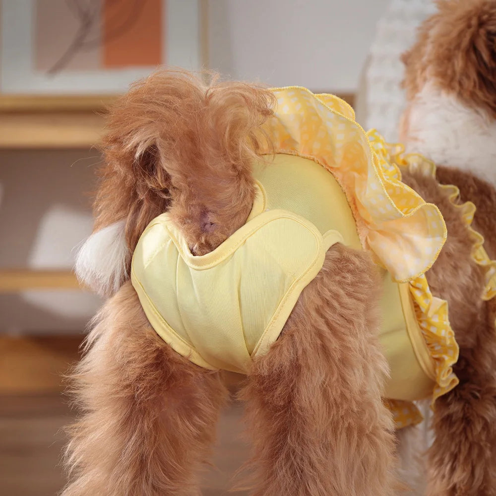 Culotte pour chien tutu de couleur jaune avec un petit chien de couleur brun debout de dos. Image produit Boutiquechien