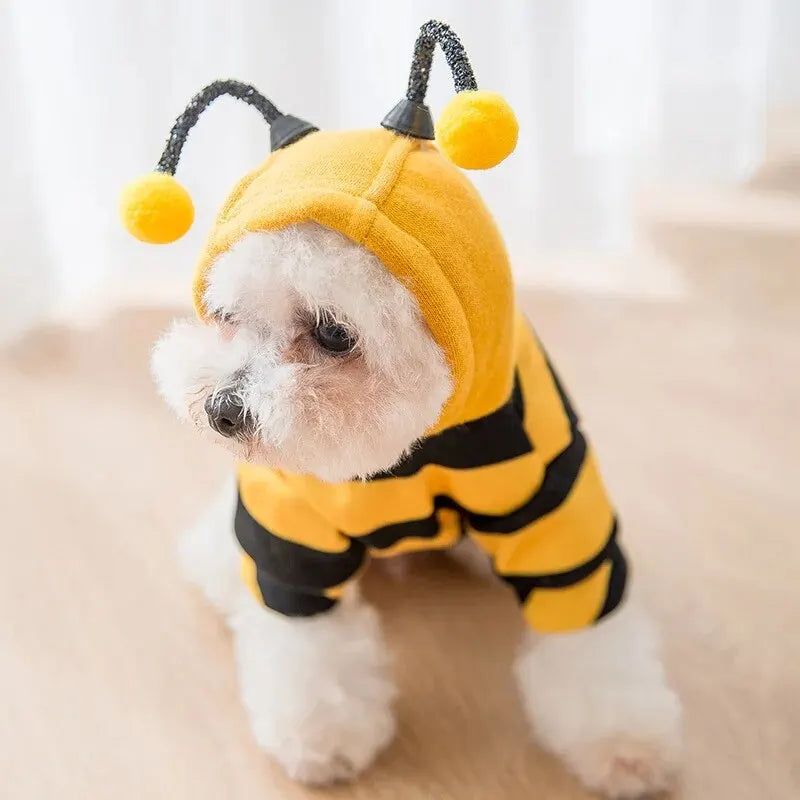 Déguisement pour petit chien en forme d'abeille de couleur jaune et noir pour les chiens. Image produit Boutiquechien