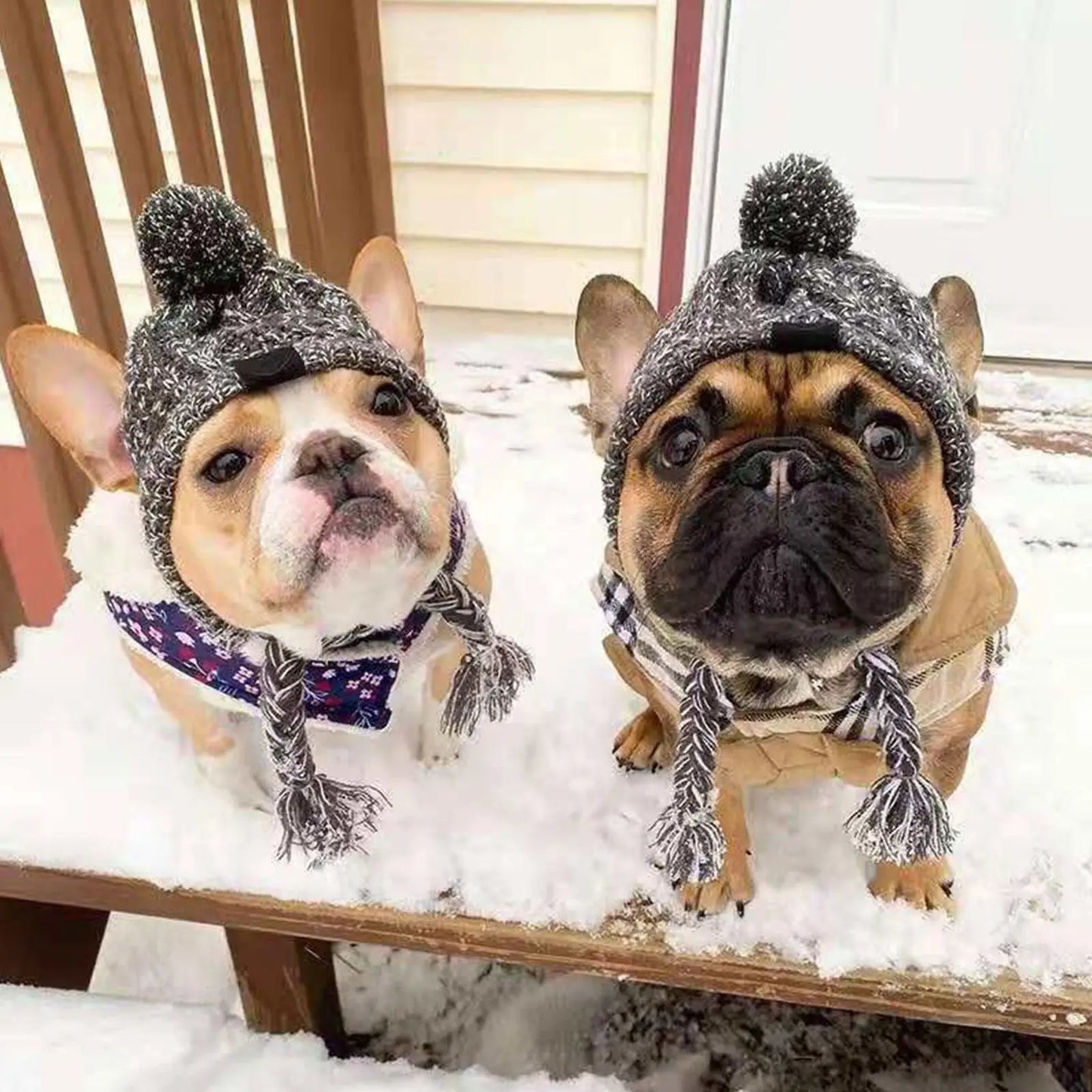 Deux petit chien de couleur brun portant des bonnets pour chien de couleur gris. Les chiens sont assis dans la neige blanche sur les escaliers. Image produit Boutiquechien