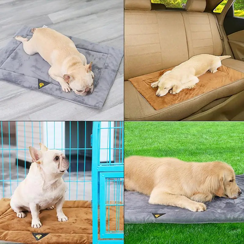 Tapis chien dans différentes situation avec un chien couché sur chacun des tapis. Image produit Boutiquechien