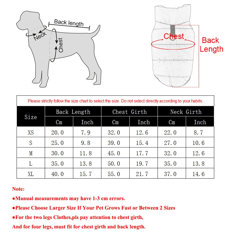 Dimensions total de la veste pour chihuahua dans un tableau. Image produit Boutiquechien