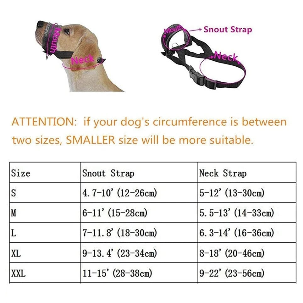 Dimension total du licol pour chien d'entraînement de Boutiquechien