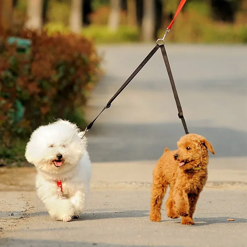 Extension de laisse de couleur noir en nylon résistant pour laisse. Extension de laisse permettant de promener deux chiens. Image produit Boutiquechien