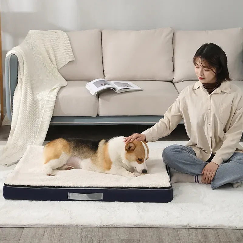 Femme caressant son chien de couleur brun et blanc couché sur son tapis de couleur bleu et blanc. Le canapé est de couleur gris. Image produit Boutiquechien