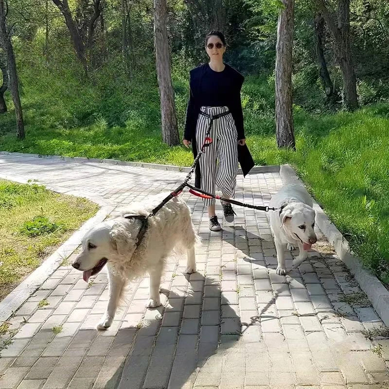 Femme promenant ces deux chiens en laisse dans un parc. les deux chiens sont de couleurs blanc et marchent sur les pavés. Image produit Boutiquechien