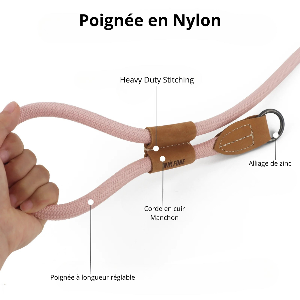 Détails de la laisse en nylon renforcé de couleur rose. Image produit Boutiquechien