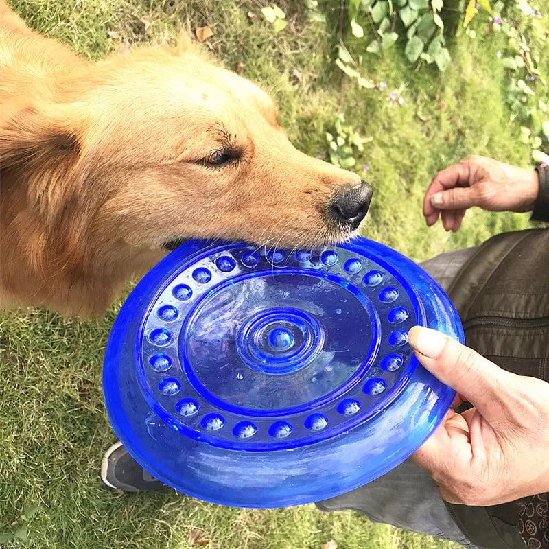 Frisbee de couleur bleu avec un golden retriever blanc jouant avec son Frisbee bleu. Image produit Boutiquechien