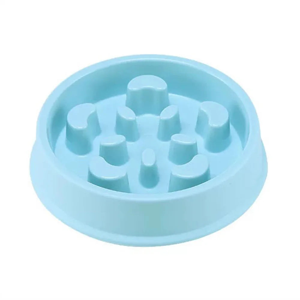Gamelle pour chien anti-glouton de couleur bleu claire en plastique anti- dérapant de boutiquechien