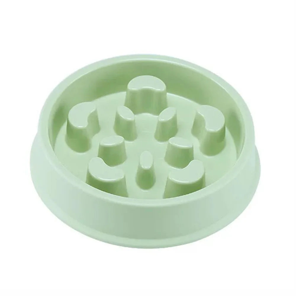 Gamelle pour chien anti-glouton de couleur vert claire en plastique anti- dérapant de boutiquechien