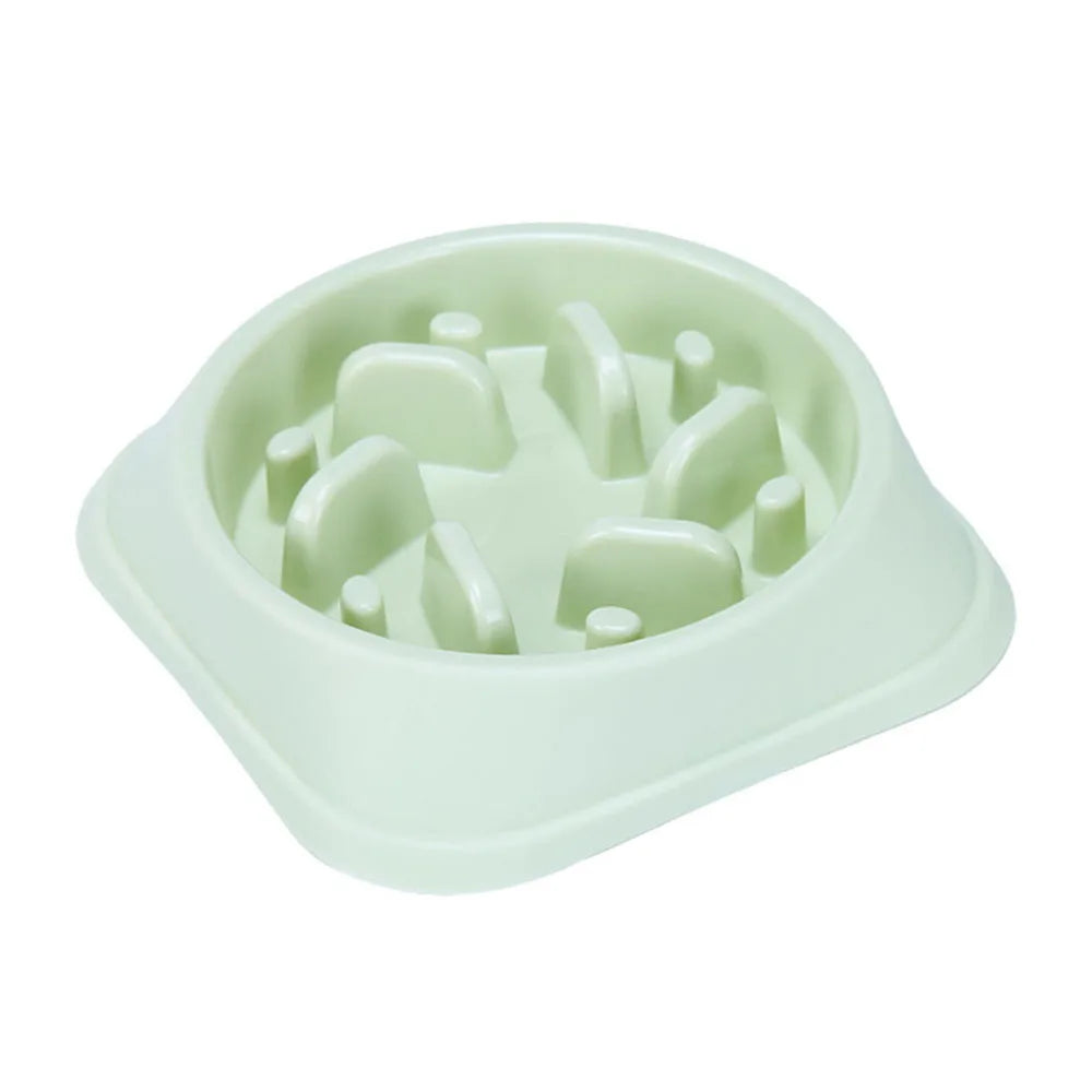 Gamelle pour chien anti glouton de couleur vert. Image produit Boutiquechien