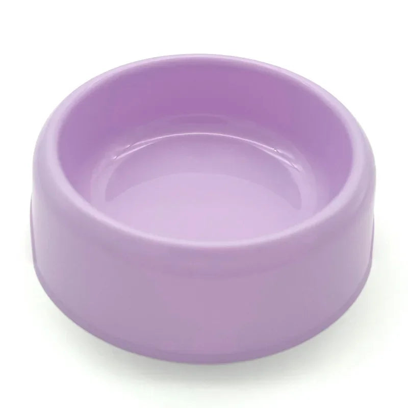 gamelle chiot de couleur violet pour les chiots et petit chien. Image produit Boutiquechien