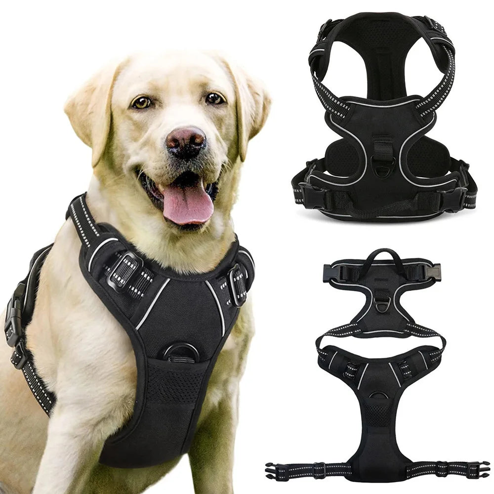 Golden retriever de couleur blanc avec un harnais anti traction de couleur noir. Le chien est assis et porte le harnais noir. Image produit Boutiquechien