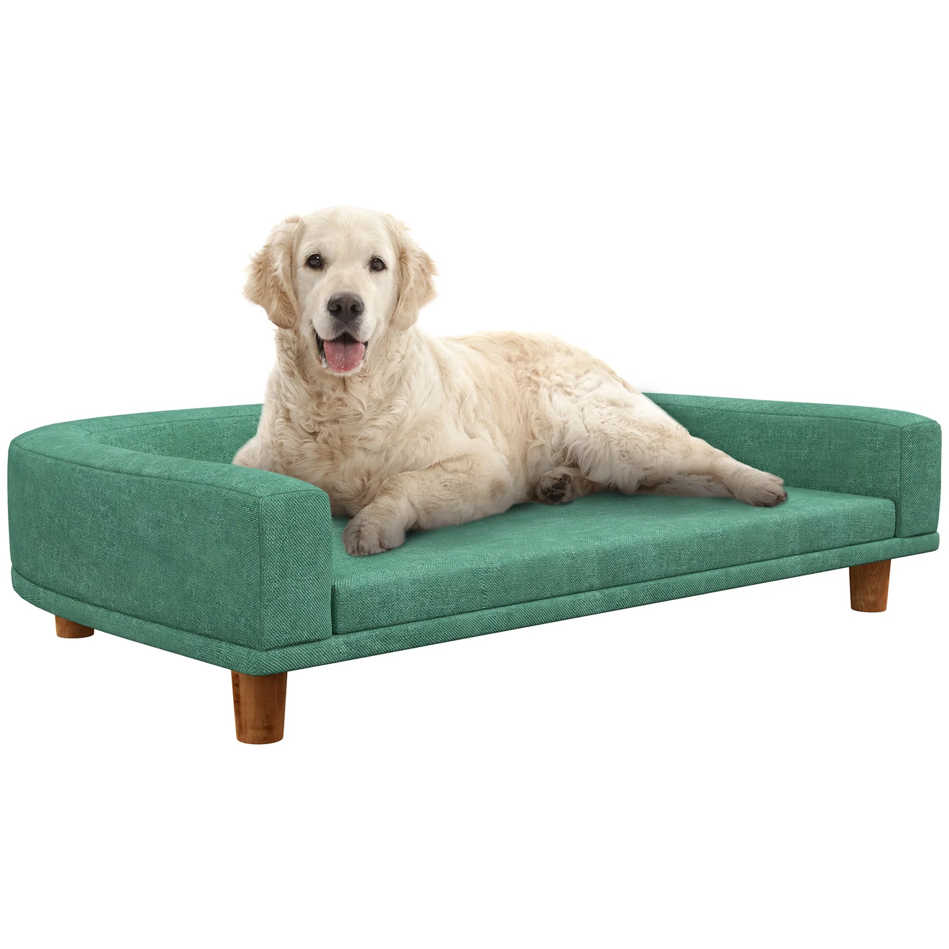 canapé vert long avec un golden retriever blanc dessus. Image produit Boutiquechien