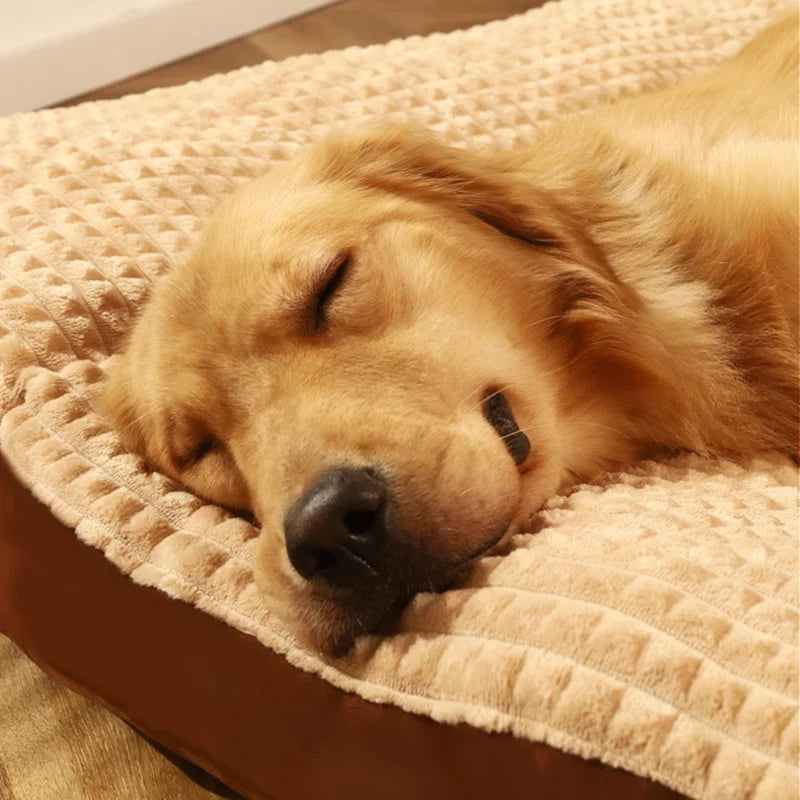 Golden retriever de couleur brun dormant sur son tapis brun et doux. Image produit Boutiquechien