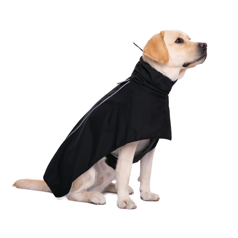 Gros chien de couleur blanc portant un imper pour chien de couleur noir. Image produit Boutiquechien