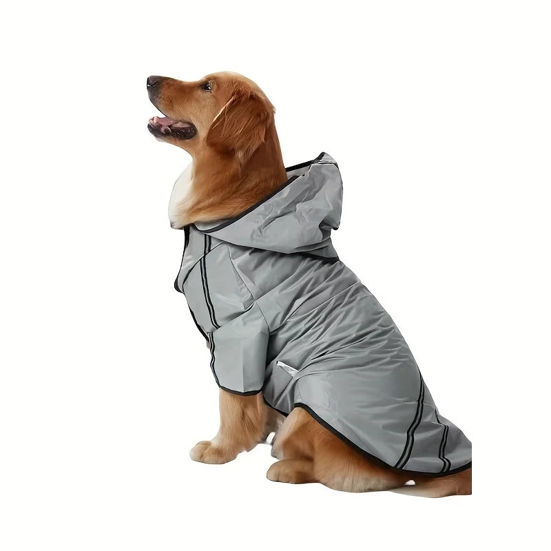 Gros chien de couleur brun portant un imper de couleur gris dans un fond blanc. Image produit Boutiquechien