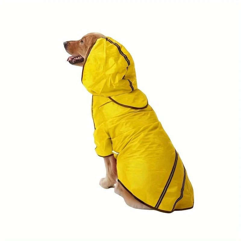 Gros chien de couleur brun portant un imper de couleur jaune dans un fond blanc. Image produit Boutiquechien