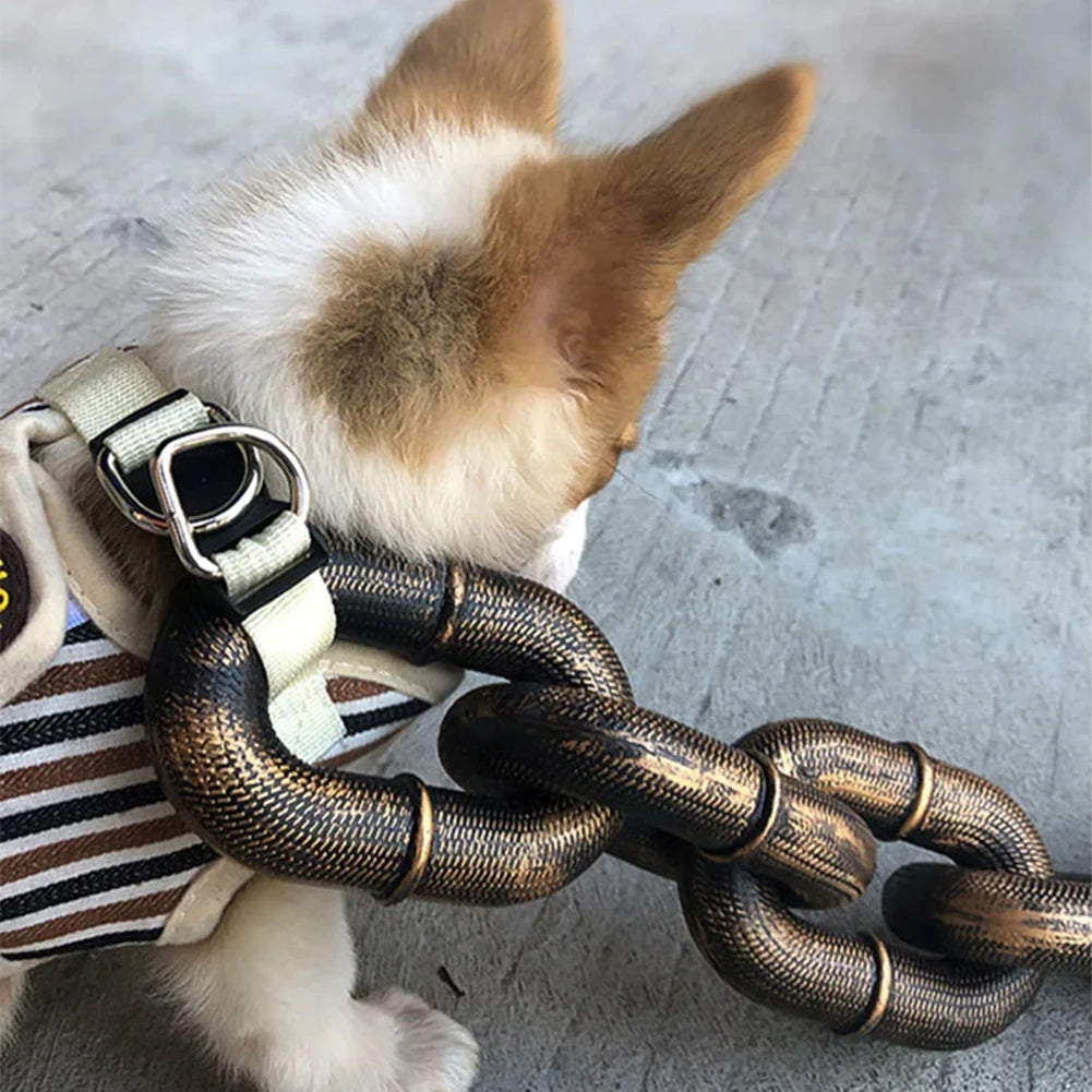 laisse style chaine pour petit et grand chien. Le petit chien porte et un petit harnais et il est de couleur brun et blanc. Le chine à une grande et grosse laisse de couleur or. Image produit Boutiquechien