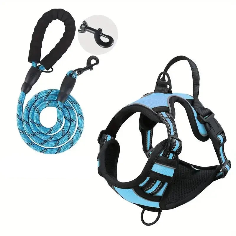 laisse et harnais pour chien de couleur bleu avec laisse résistant et durable. Image produit Boutiquechien